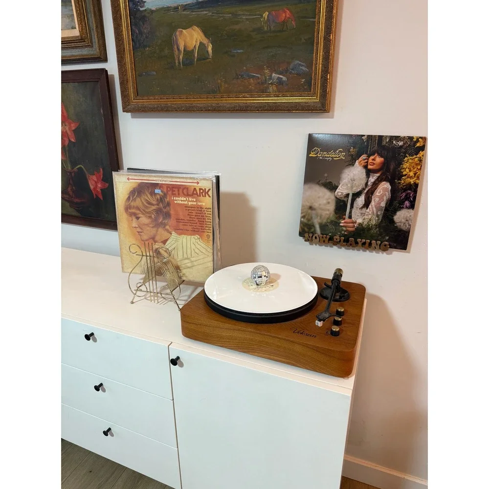 Vintage 1950s Gold Wire Vinyl Record Holder Mid Century LP Rack